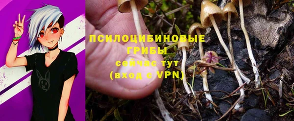 спиды Пересвет