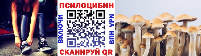 Псилоцибиновые грибы Cubensis  Сухиничи 
